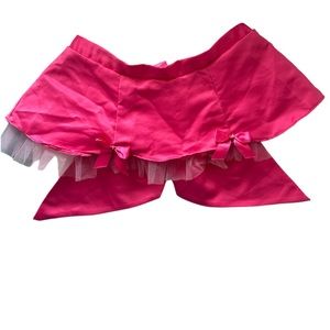 Victoria's Secret PINK satin Santa Mini Skirt Sexy Little things One size